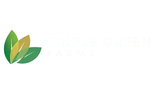 Triple Green Farms CBD Gummies